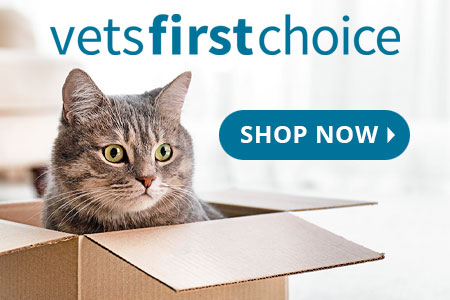 VetsFirstChoice